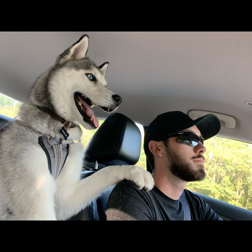 Meet your Posher, Peter